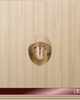 فيش دش L60